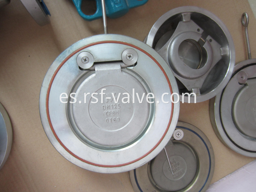 Single Plate Clap Check Valve 2